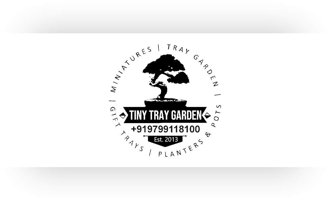 tiny-tray